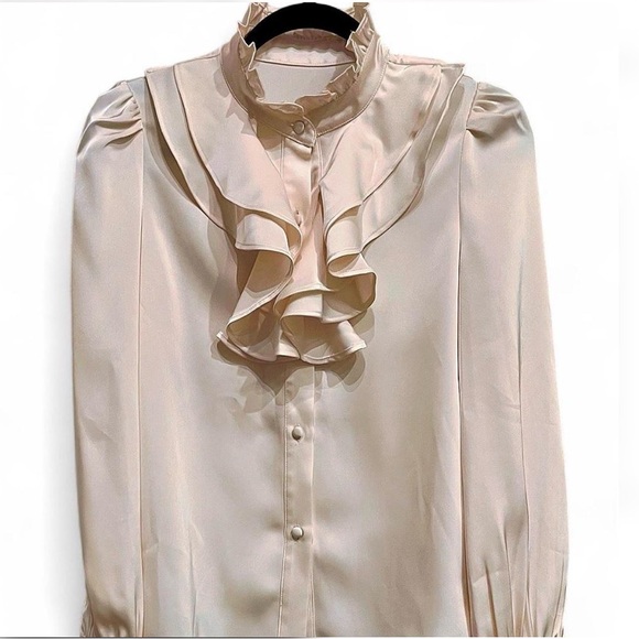 Silky Fairy Blouse NWT Classic Chic Elegant Vintage-Inspired Top S Soft-girl 90s - Picture 2 of 11